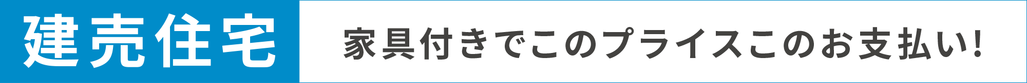 建売住宅 家口付きでこのプライスこのお支払い！