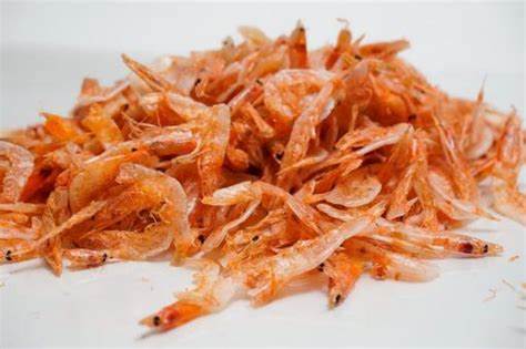 【現場】シロアリはサクラエビ味⁉