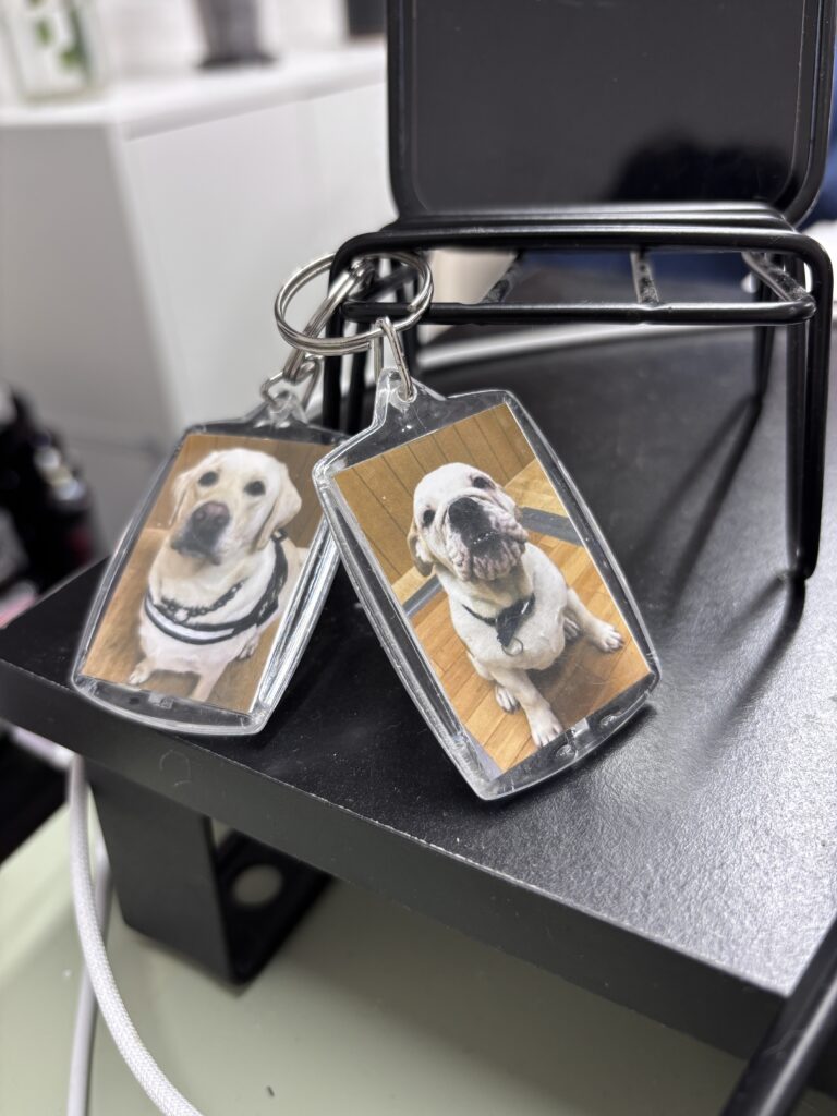 【PR エージェント】🐶🐈🦎