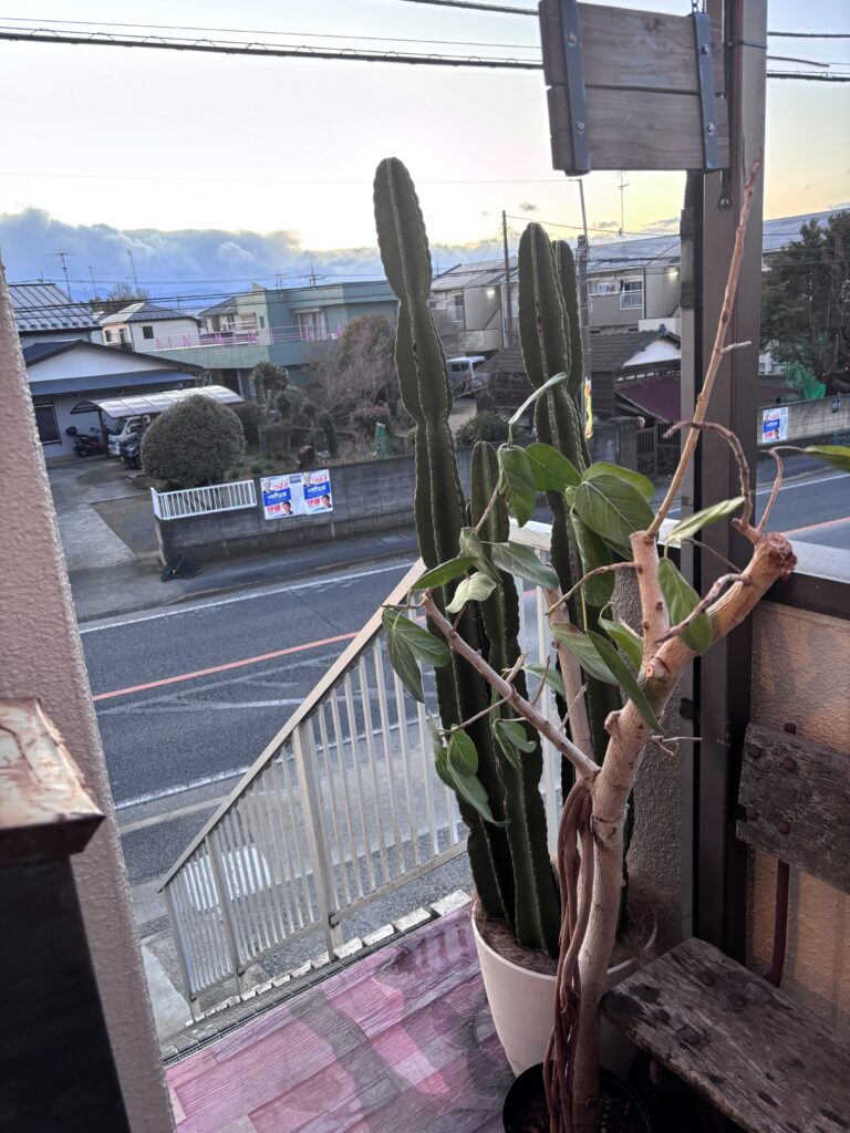 【西東京branch】🌀🌀🌀