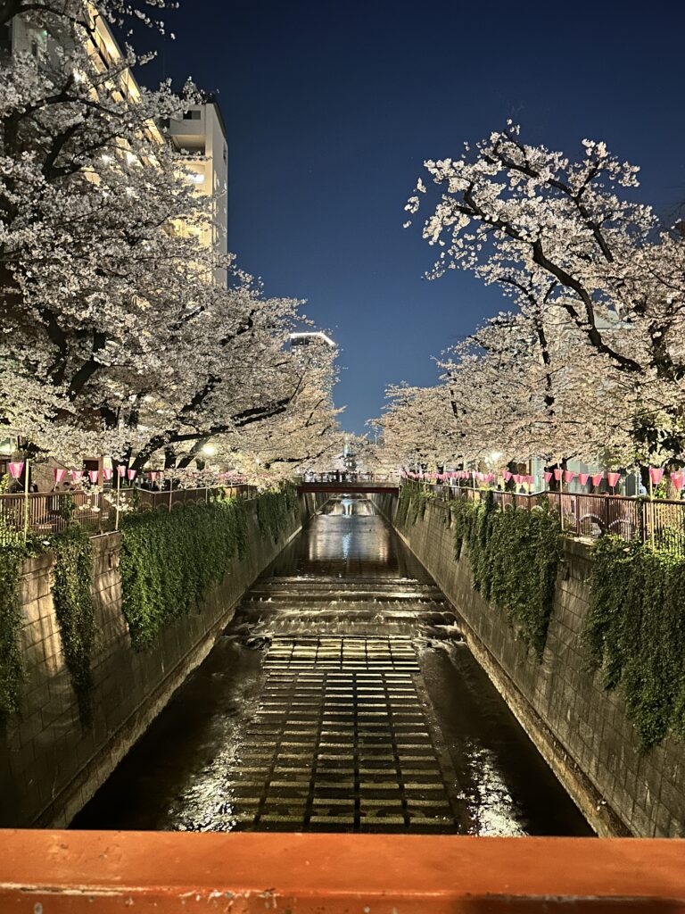 【目黒Base】🌸