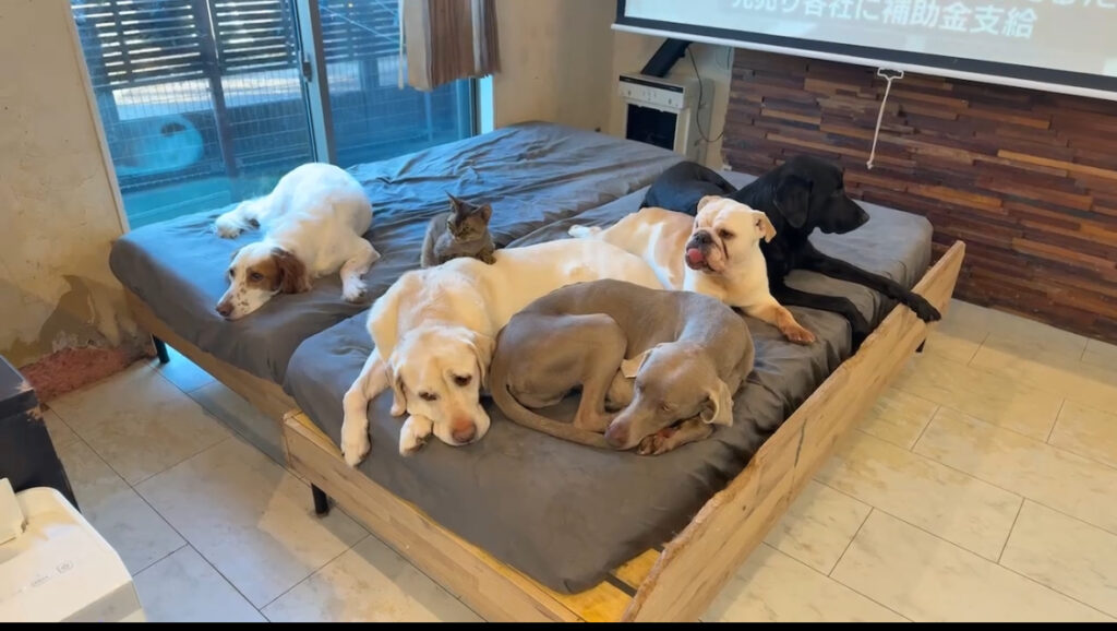 【PRエージェント】の昼下がり🌞