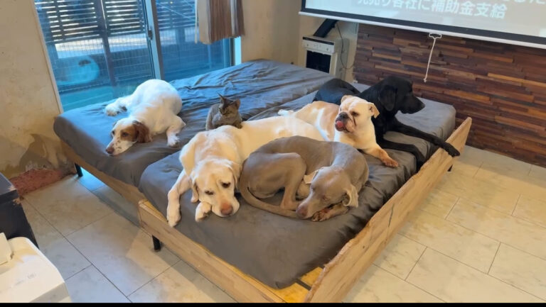 【PRエージェント】の昼下がり🌞