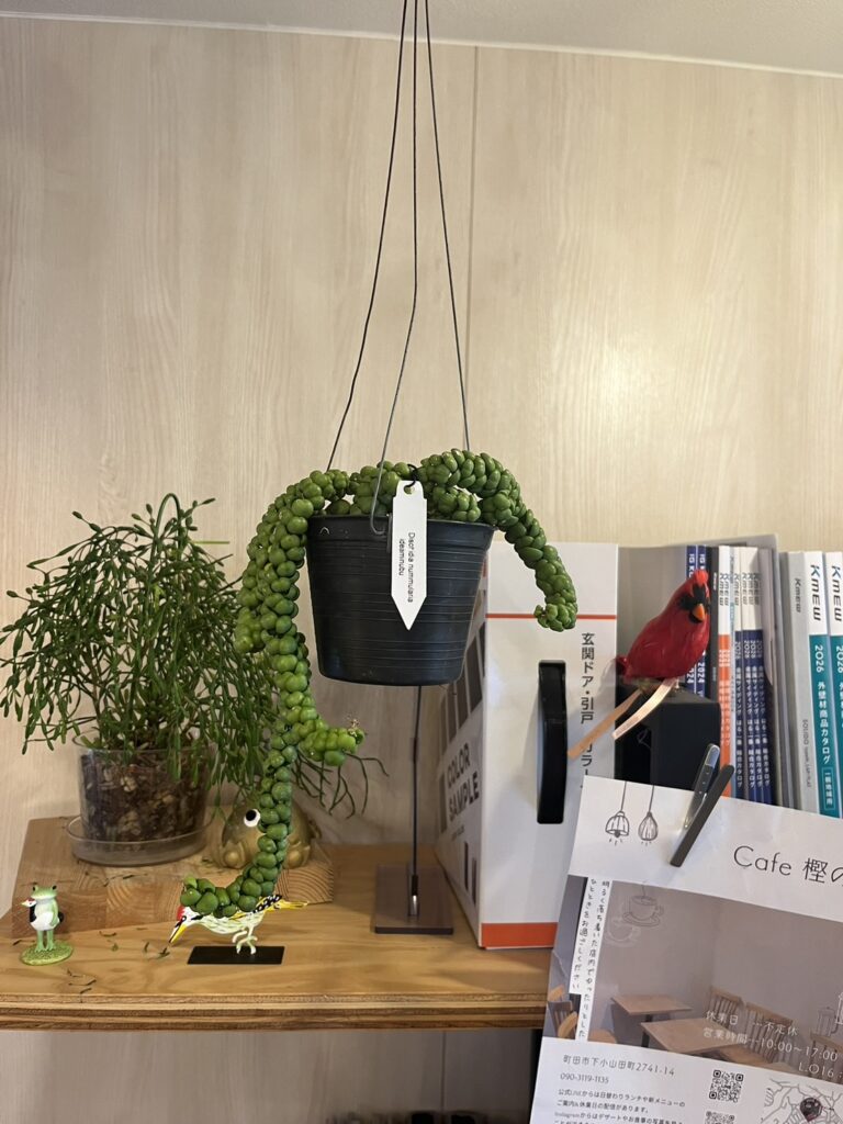 【西東京branch】新入りさん続々仲間入り🍁